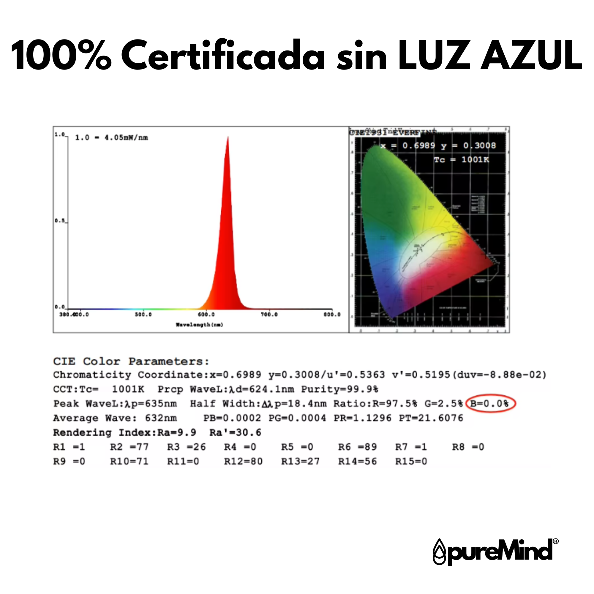 Luz de Lectura Roja Recargable